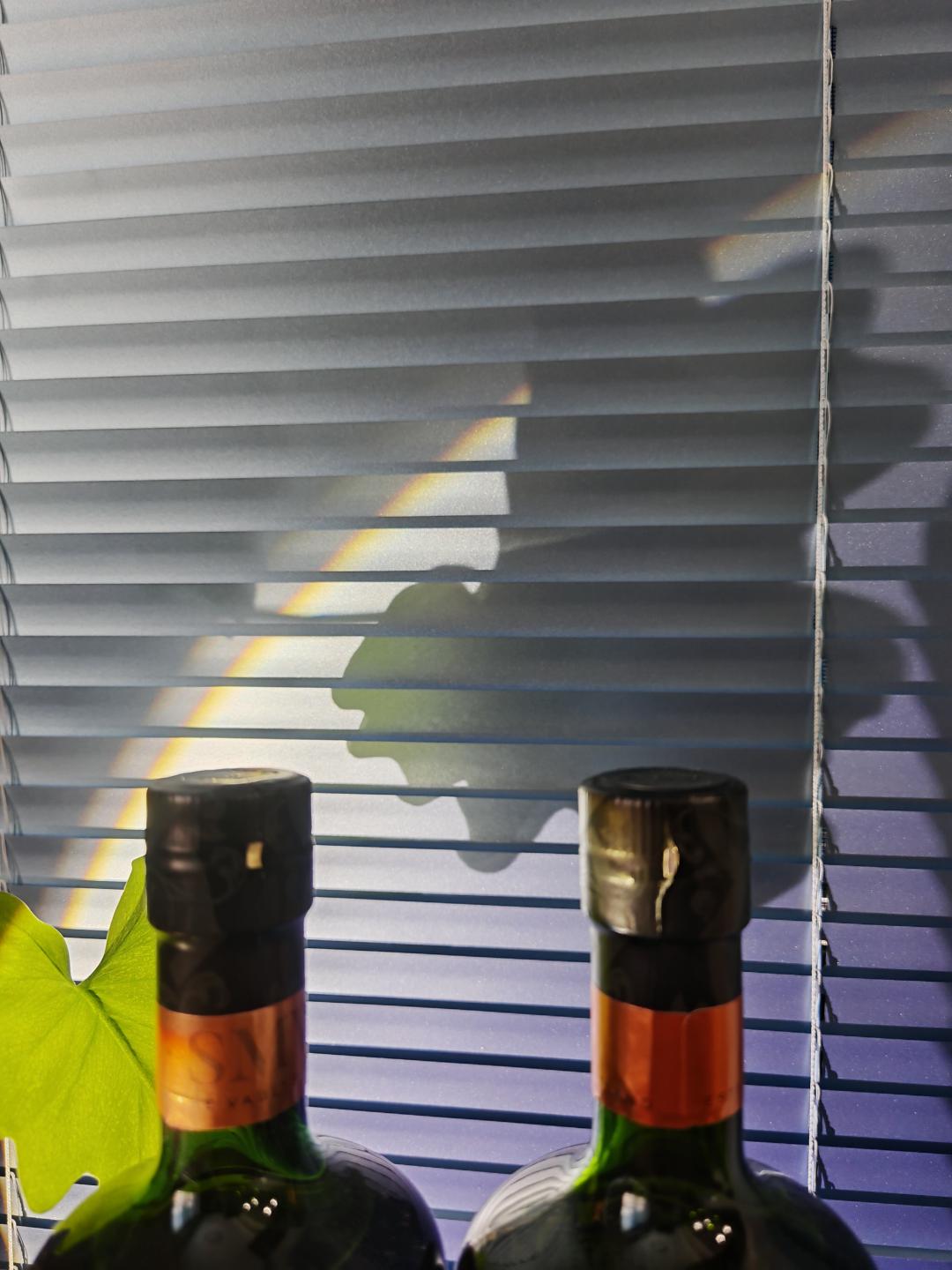 SMWS协会R2.20+R11.13