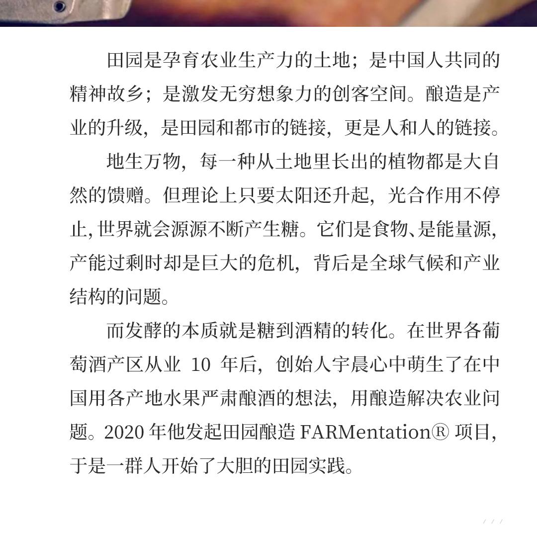 【纯净有力】FARMentation 田园酿造 江坡·香格里拉·霞多丽干白