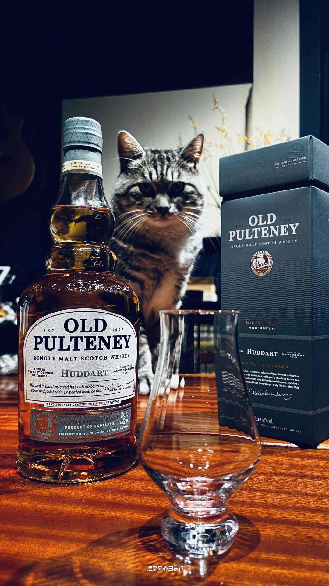 酒虫给的快乐🎊