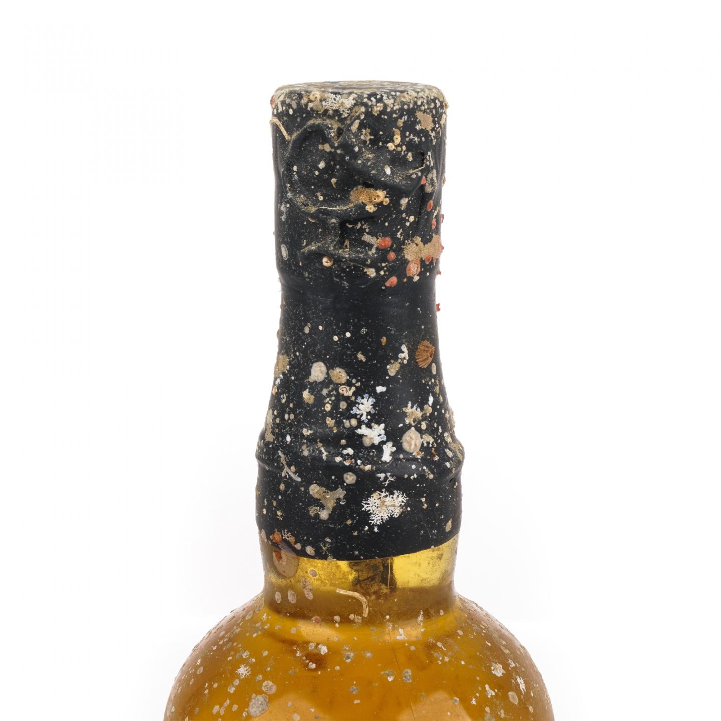 秩父X下田 海中熟成酒 2年 调和