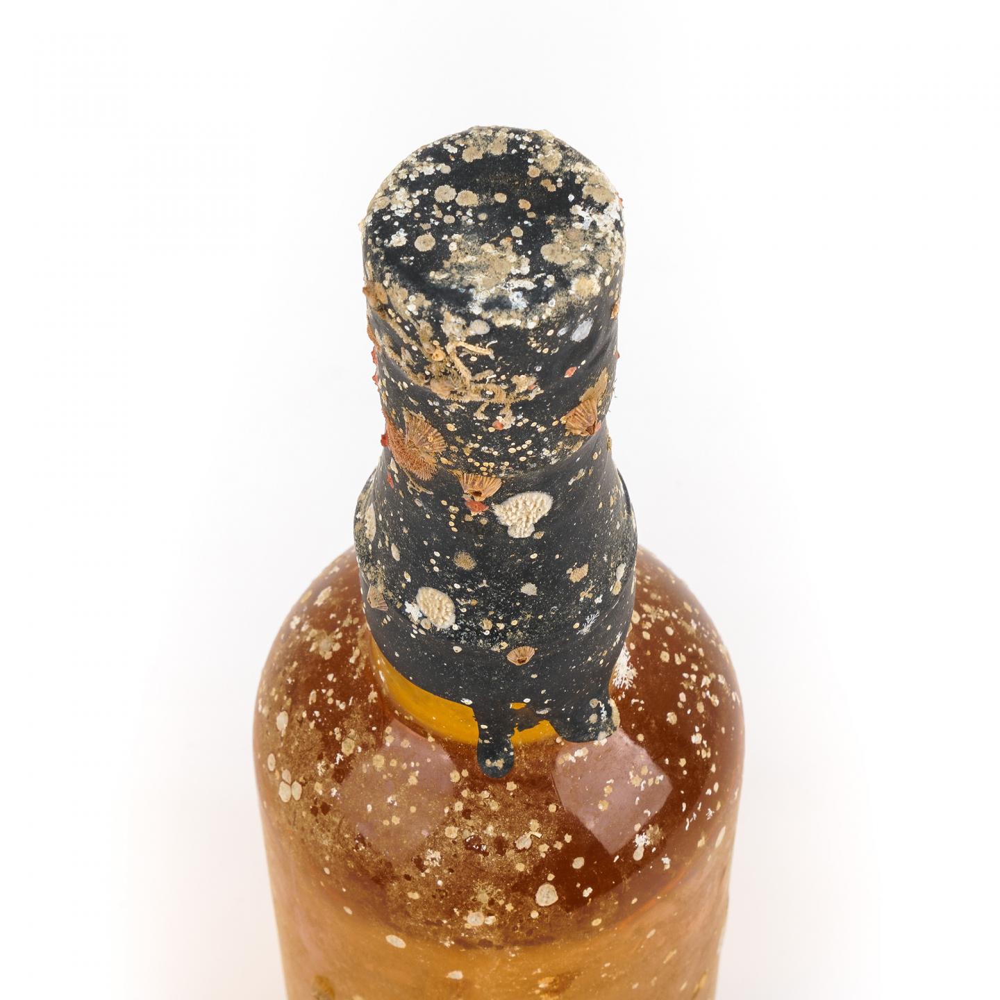 秩父X下田 海中熟成酒 2年 调和