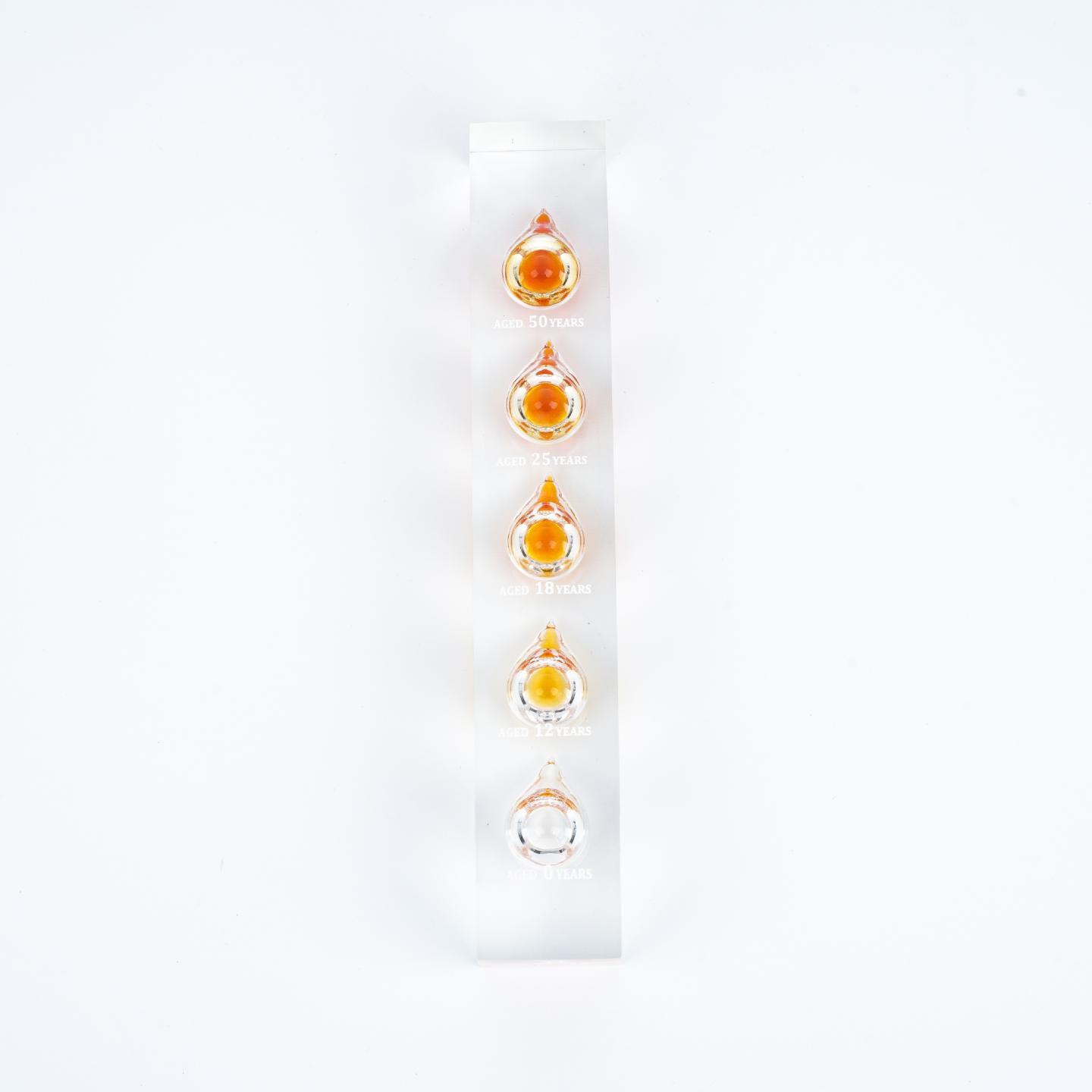 山崎 含50 25 18 12 0年酒液 威士忌摆件