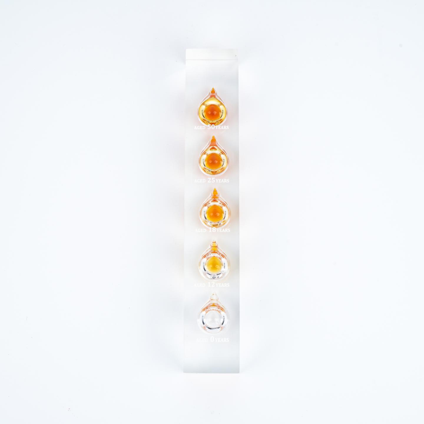 山崎 含50 25 18 12 0年酒液 展示摆件