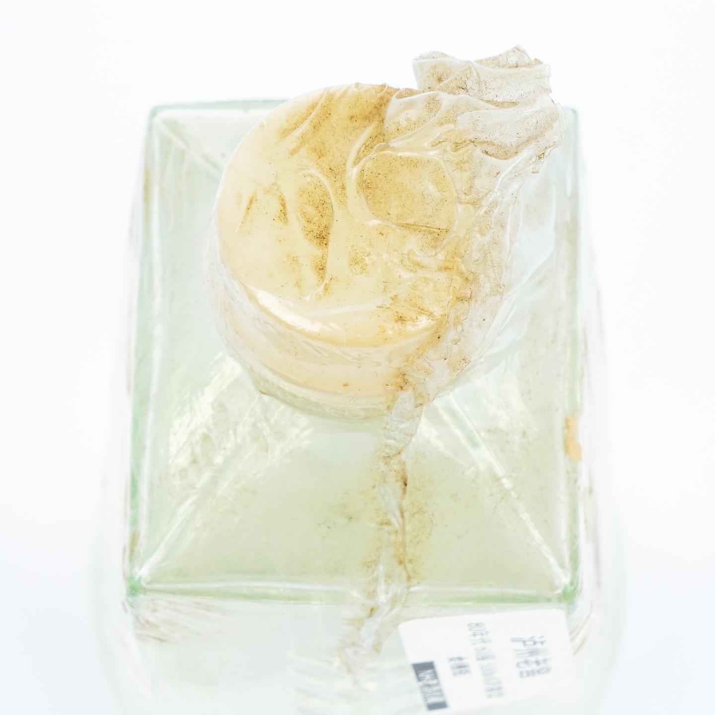 泸州老窖·大曲酒