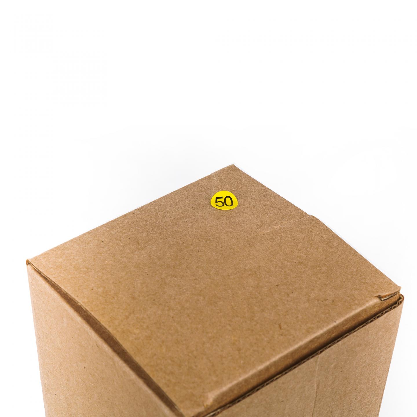 Springbank 云顶 12年 2025 桶强 55.9%Vol.