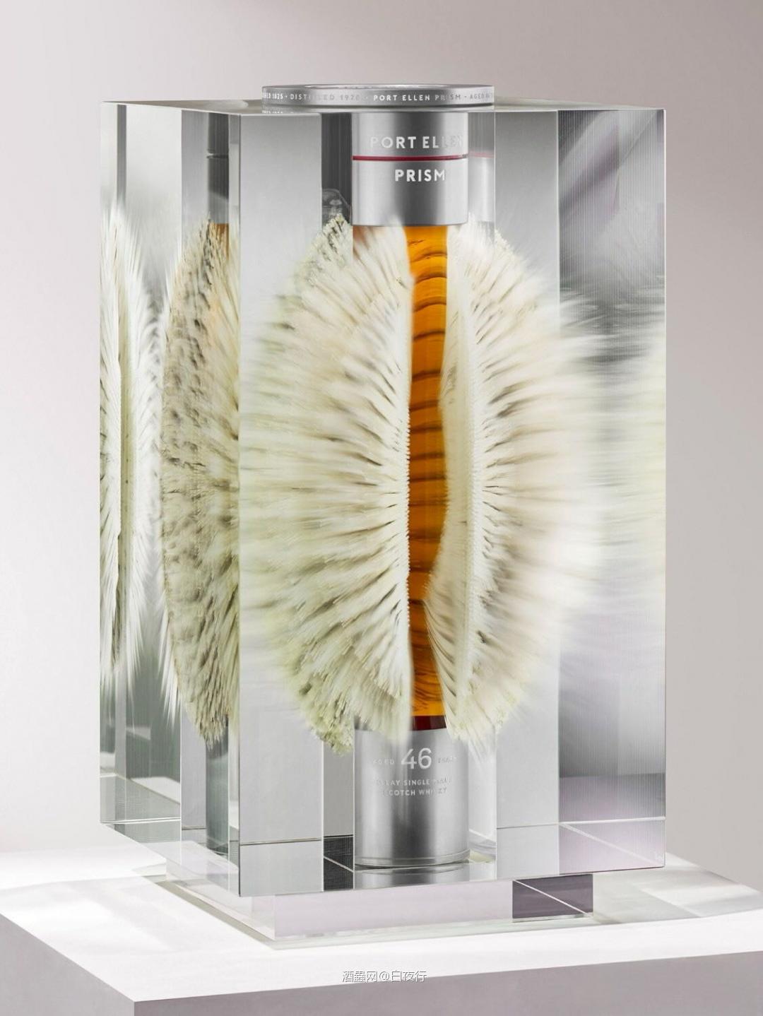 波特艾伦46年 哇大的可怕