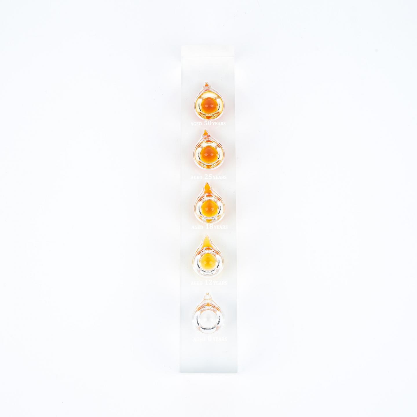 山崎 展示摆件 含50 25 18 12 0年酒液