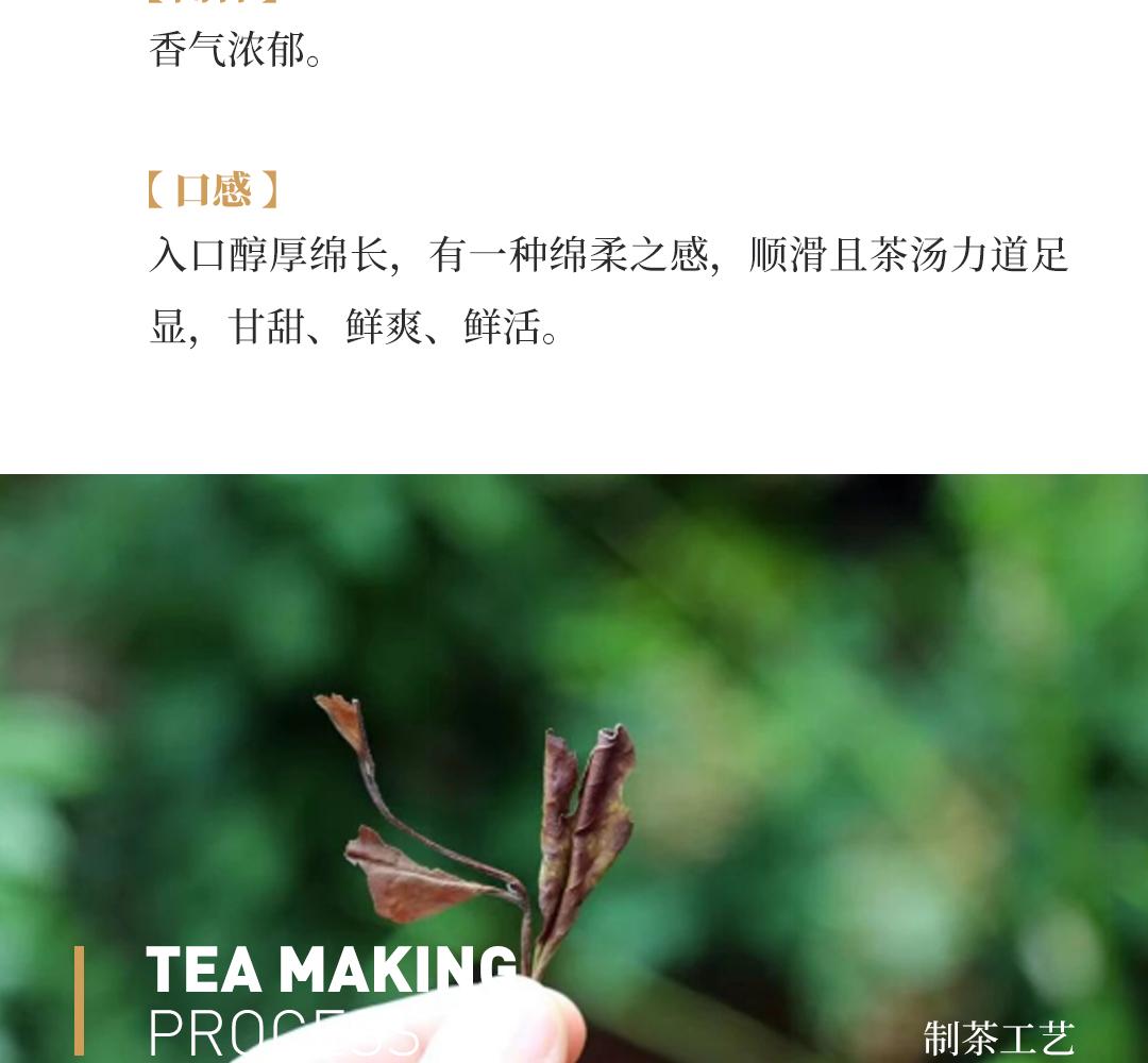 【醇厚绵长】特级白茶寿眉·上世纪九十年代中茶公司出口金记茶行