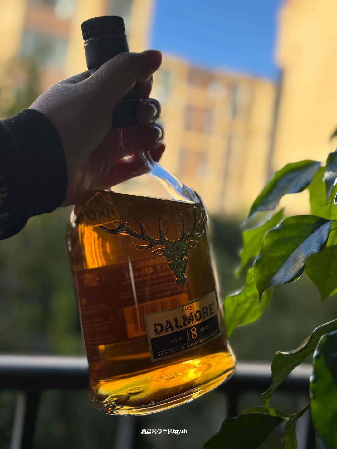 趁暖阳，盘他！