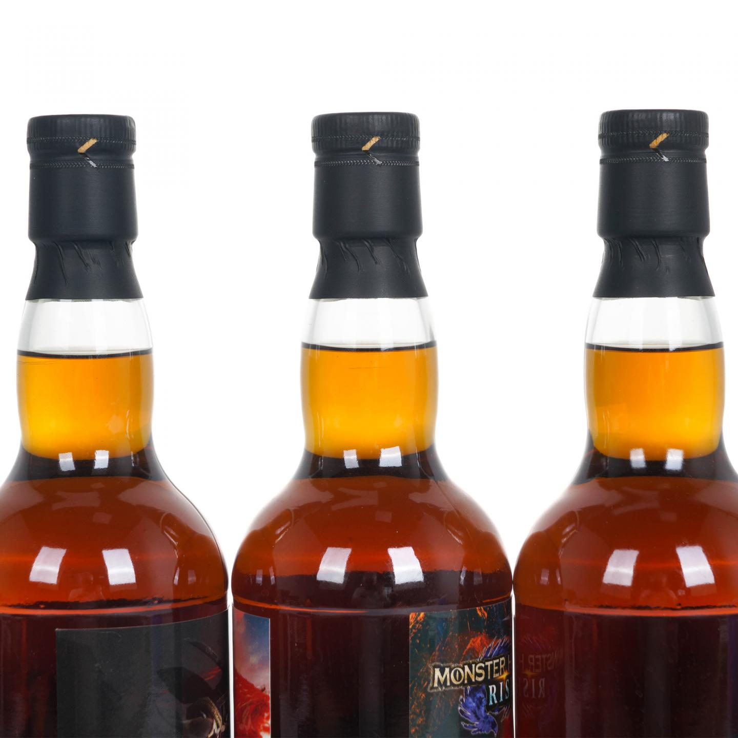 秘密斯佩塞 1999-2020 怪物猎人 3支组