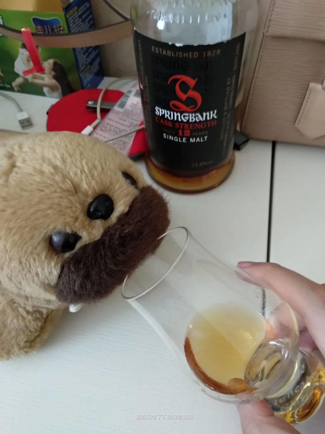 朋友家毛茸茸的小伙伴完全受不了云顶12年桶强，被灌倒了 云顶…