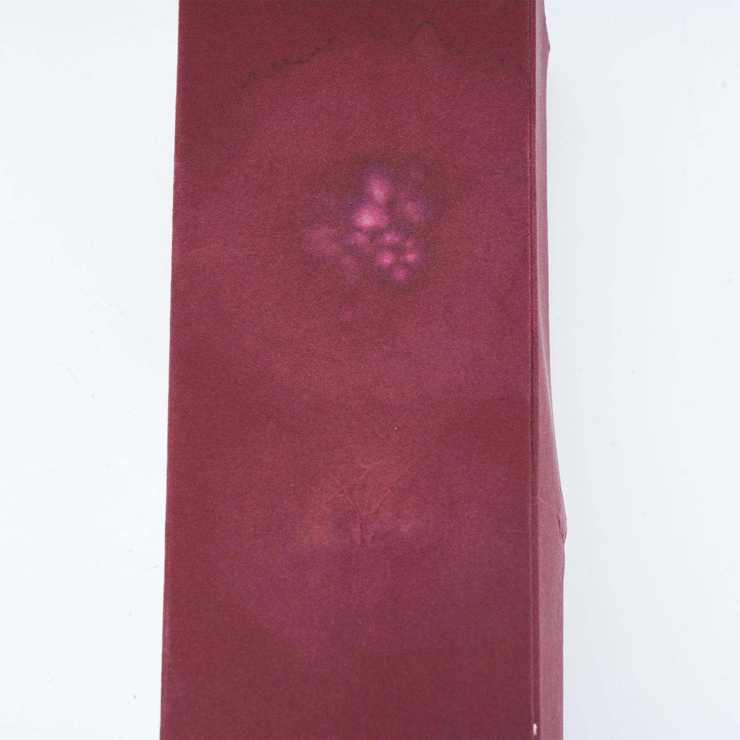 Springbank 云顶 1997-2008 云顶协会