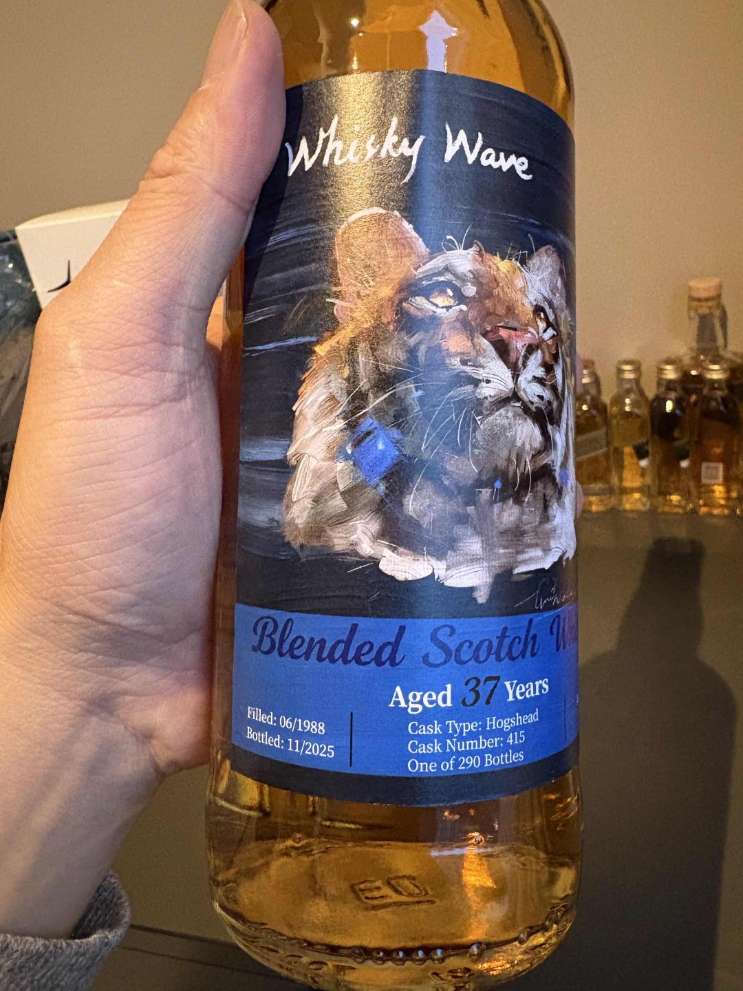 威浪37年调和1988-2025