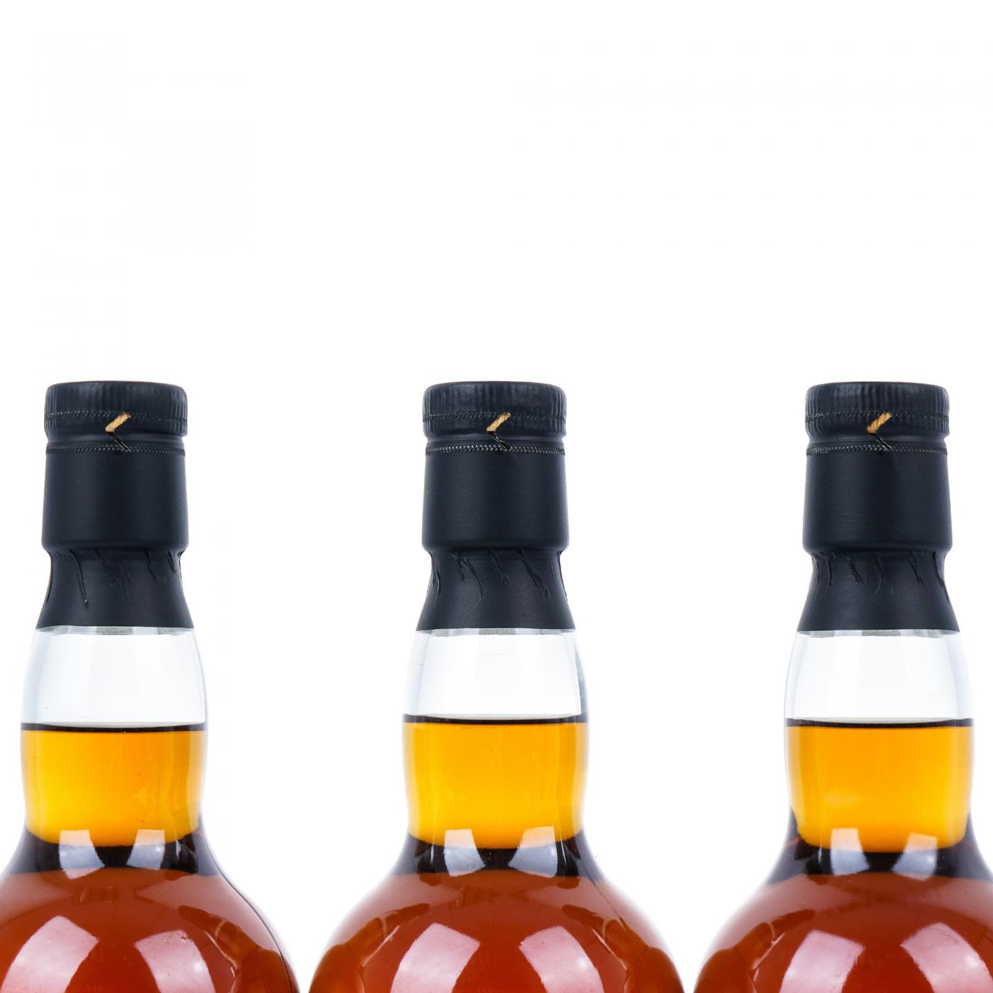 秘密斯佩塞 1999-2020 怪物猎人 3支组