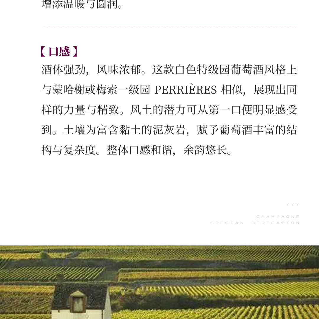 【风味浓郁】涵舍 勃艮第 科通-查理曼特级园 白葡萄酒 2023