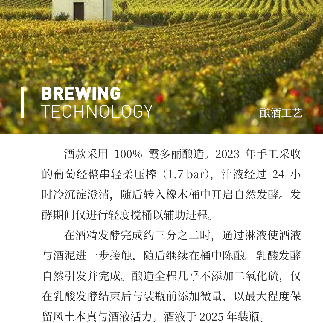 【风味浓郁】涵舍 勃艮第 科通-查理曼特级园 白葡萄酒 2023