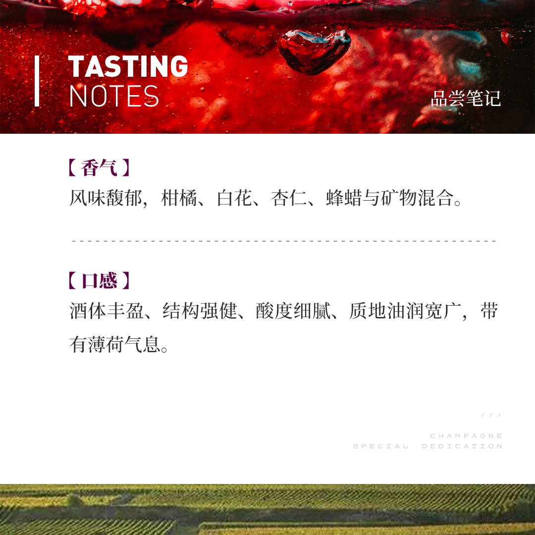 【风味馥郁】涵舍 勃艮第 蒙哈榭特级园 白葡萄酒 2023