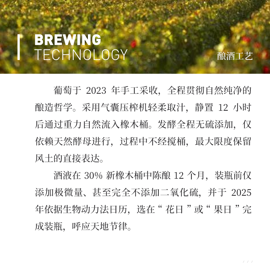 【果味突出】涵舍 勃艮第 霞多丽「作家园」白葡萄酒 2023