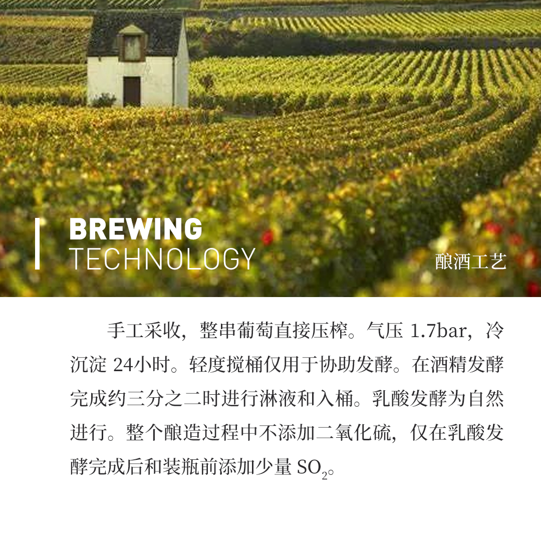 【极具个性】涵舍 勃艮第 默尔索采石场一级园 白葡萄酒 2023