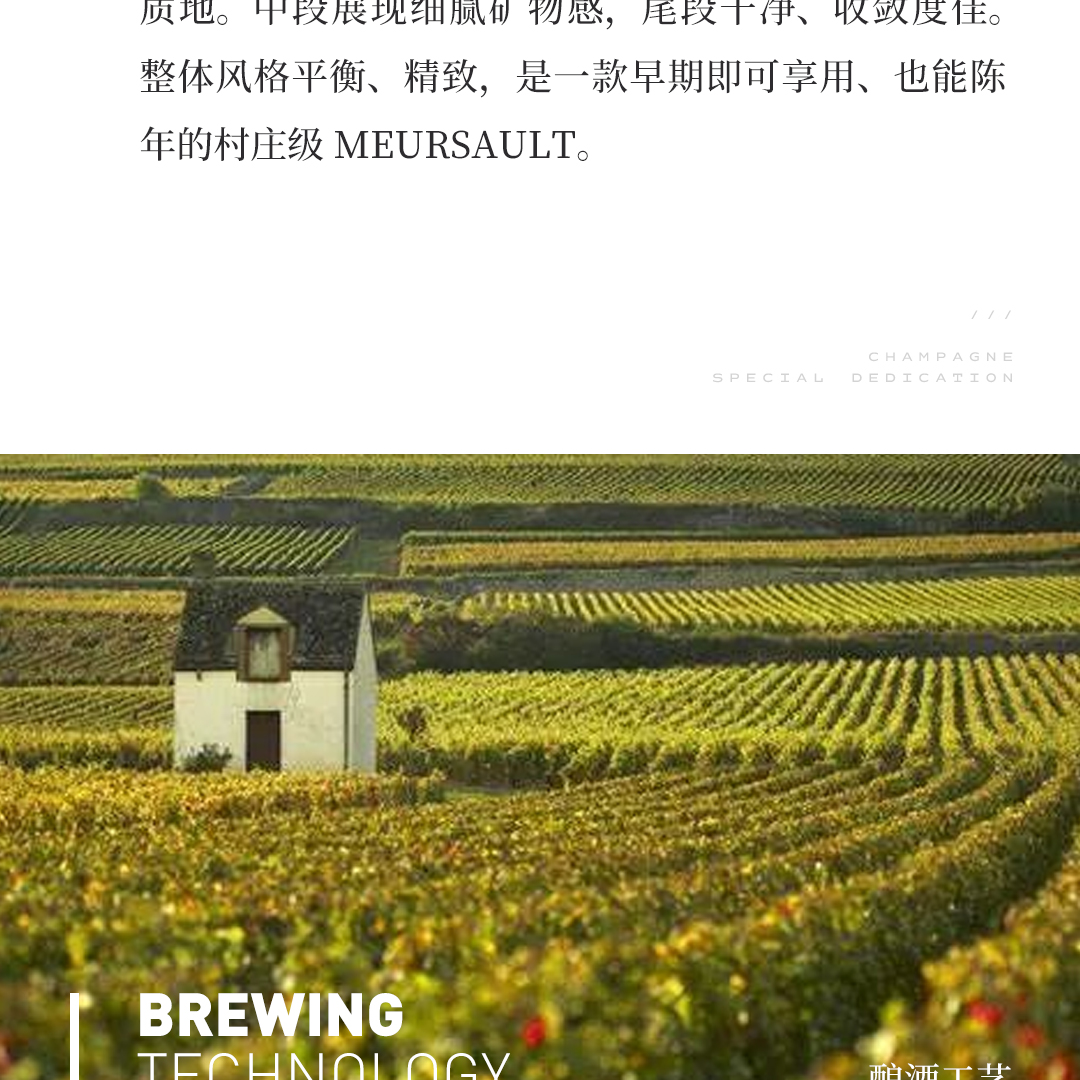 【平衡精致】涵舍 勃艮第 默尔索村 白葡萄酒 2023