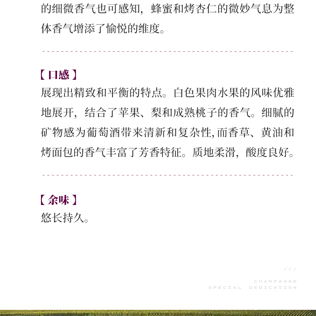 【香气丰富】涵舍 勃艮第 莎萨涅-蒙塔什 玛特瓦一级园 白葡萄酒2023