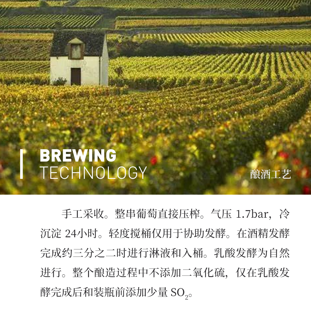 【香气丰富】涵舍 勃艮第 莎萨涅-蒙塔什 玛特瓦一级园 白葡萄酒2023