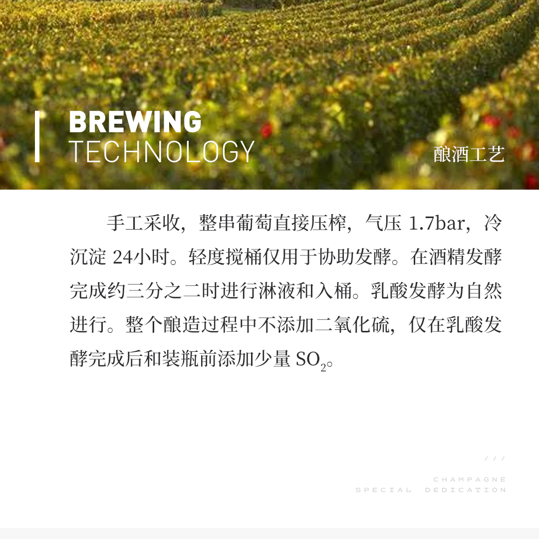 【芬芳清爽】涵舍 勃艮第大区 白葡萄酒 2023