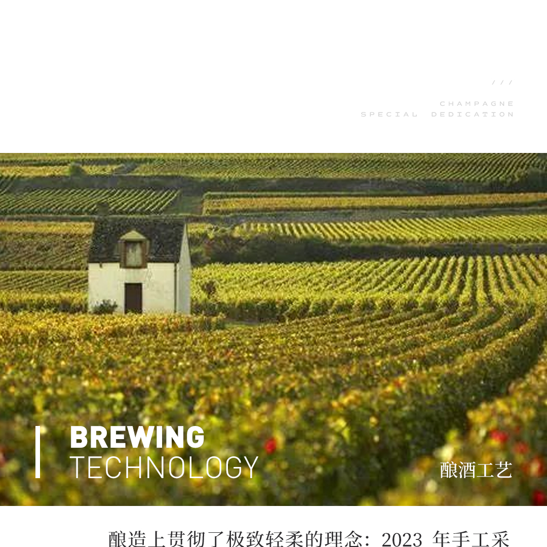 【馥郁醇熟】涵舍 博纳村 爱普诺特 老藤红葡萄酒 2023