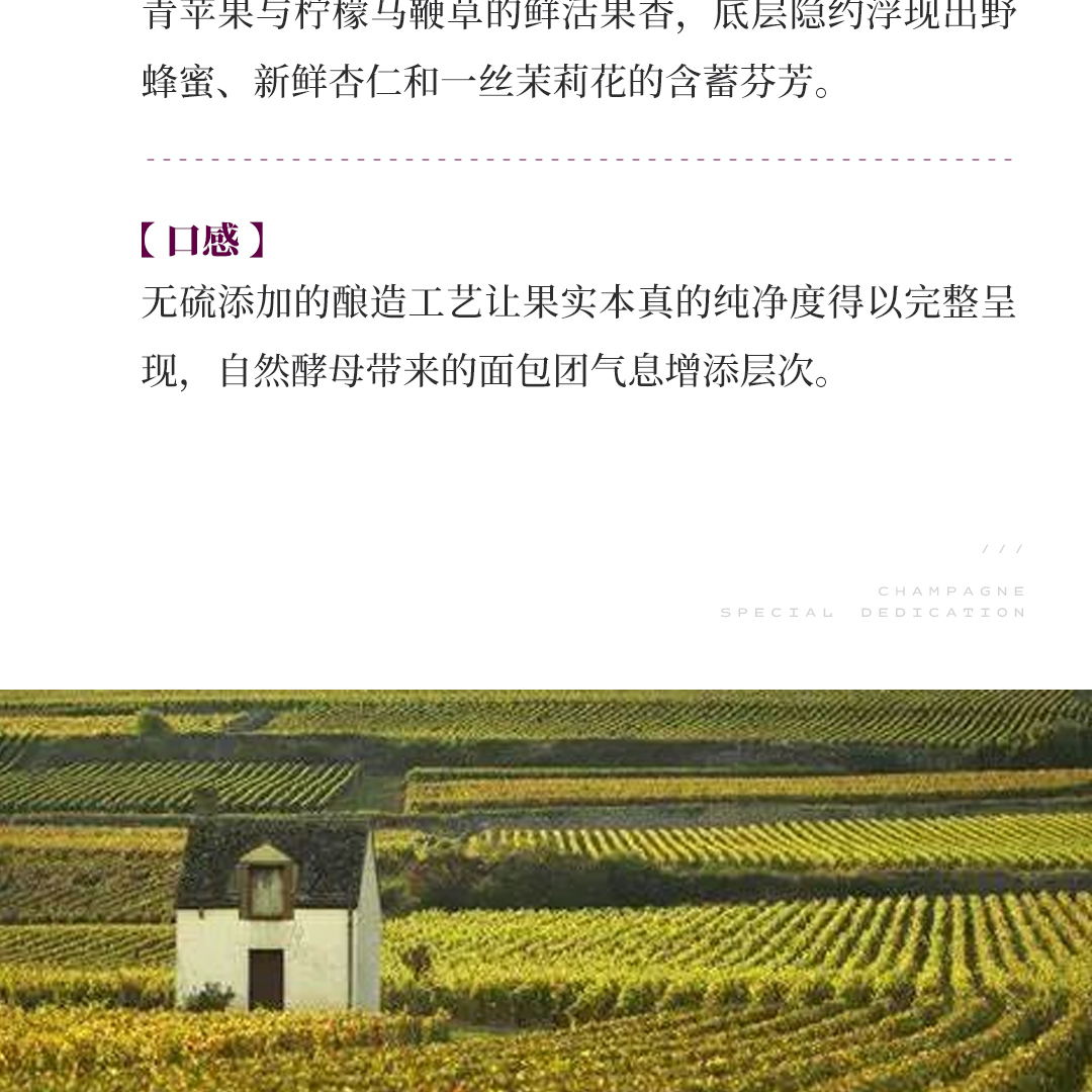 【清新果实】涵舍 夜圣乔治 一级园「白土地」白皮诺 白葡萄酒 2023