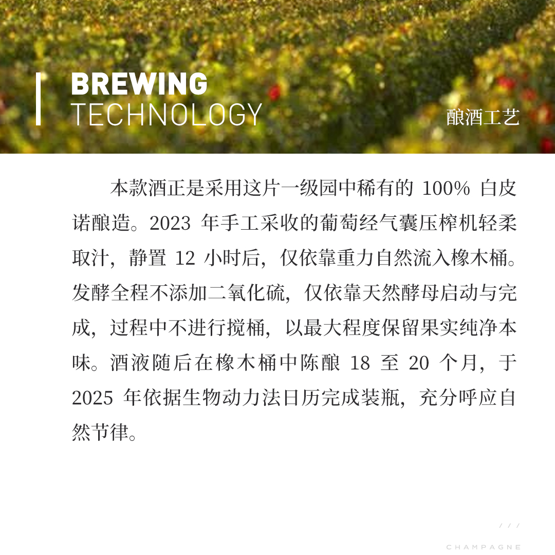 【清新果实】涵舍 夜圣乔治 一级园「白土地」白皮诺 白葡萄酒 2023