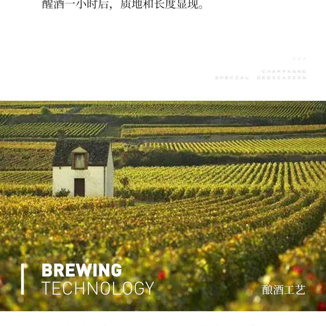 【花果芬芳】涵舍 勃艮第 骑士蒙哈榭特级园 白葡萄酒 2023