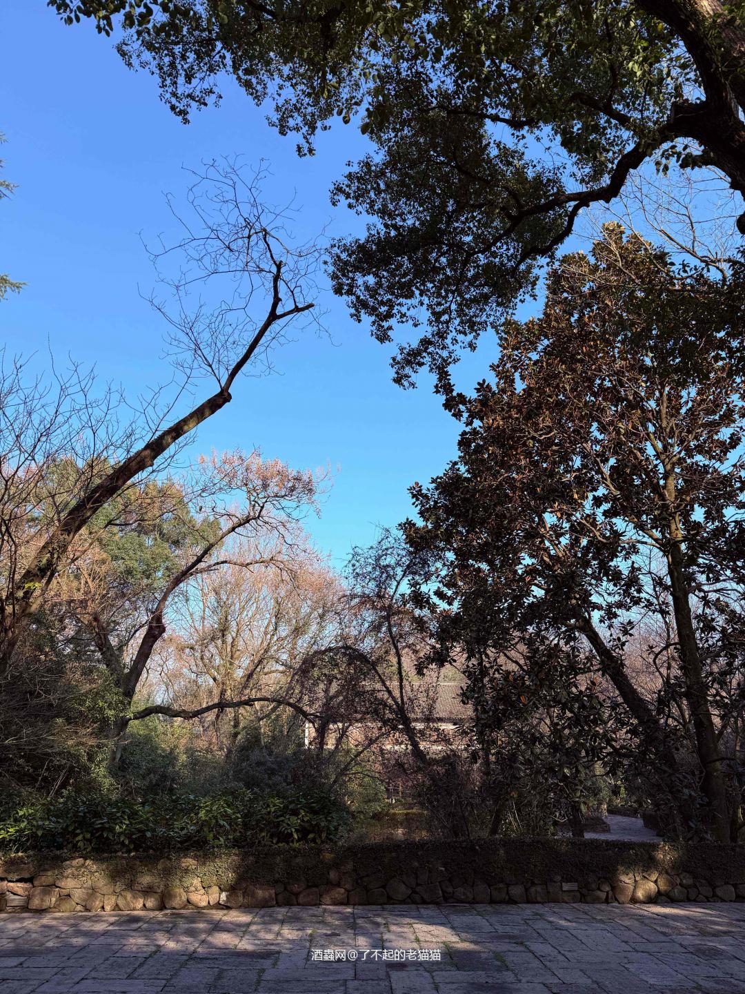 日式庭院房和日威最搭配了，天气也非常争气<p class='p'/><p class='p'/><p class='p'/><p class='p'/><p class='p'/>…