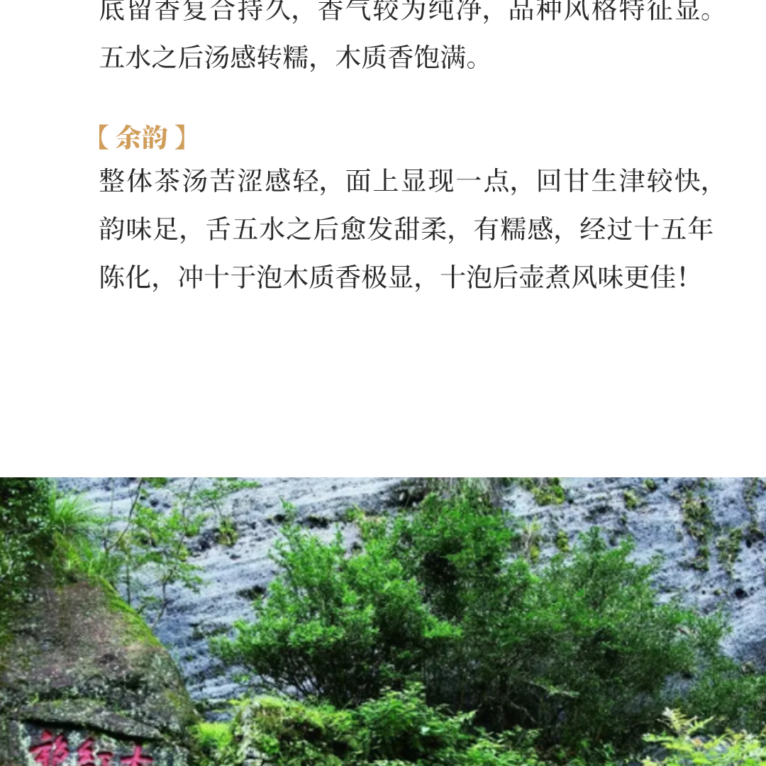 【极品纯种】2000武夷山茶叶总厂--正岩极品纯种大红袍十盒