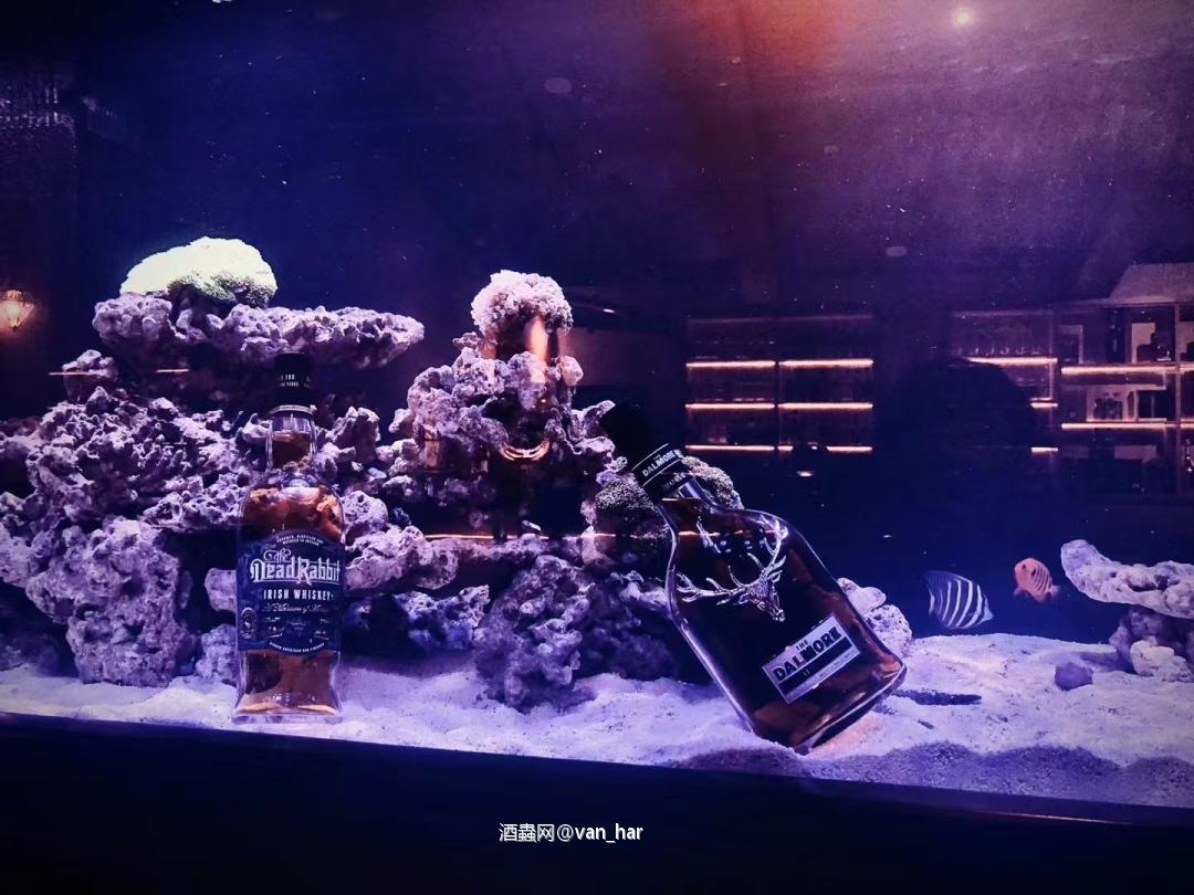 海缸陈年威士忌