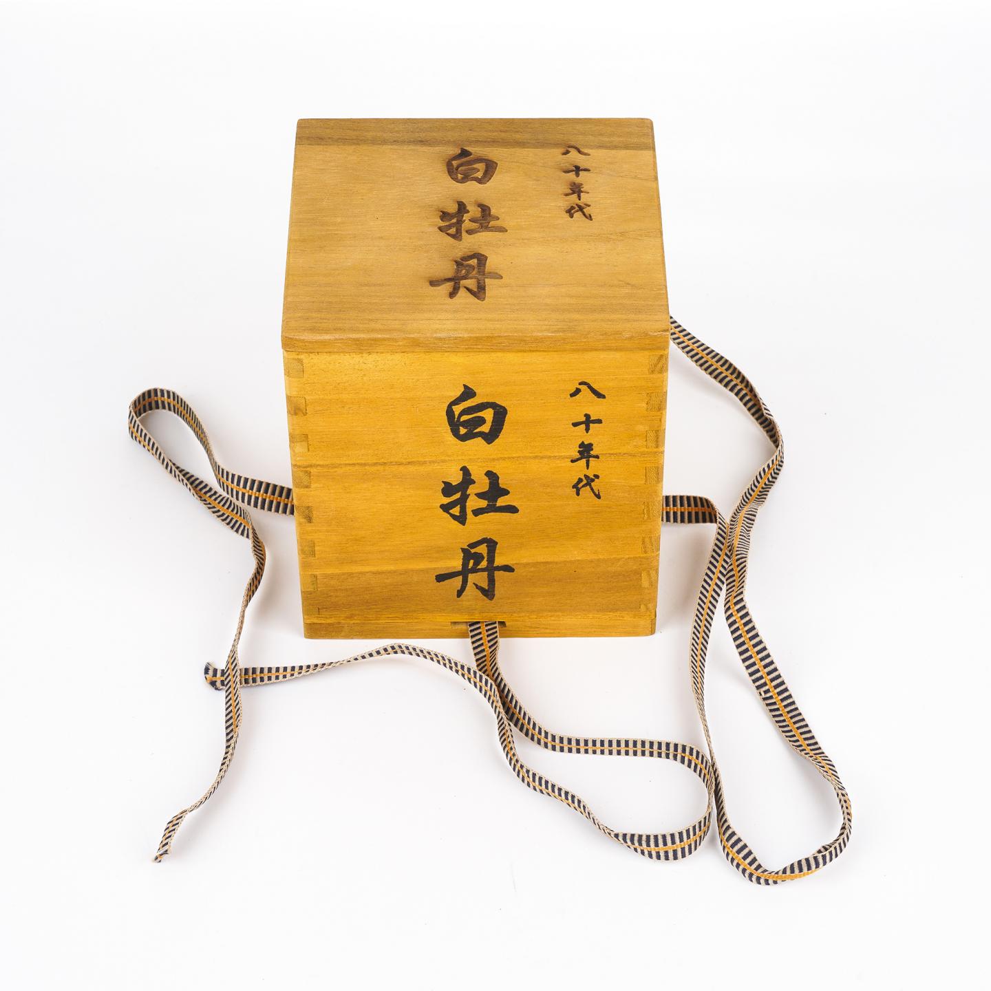 八十年代 白牡丹 一罐 约100克