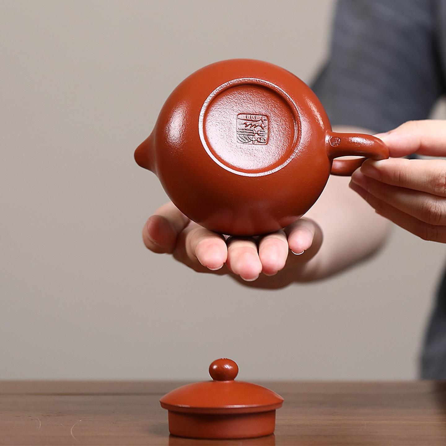 杨菲 精品套组《西施壶》 紫砂壶 200cc