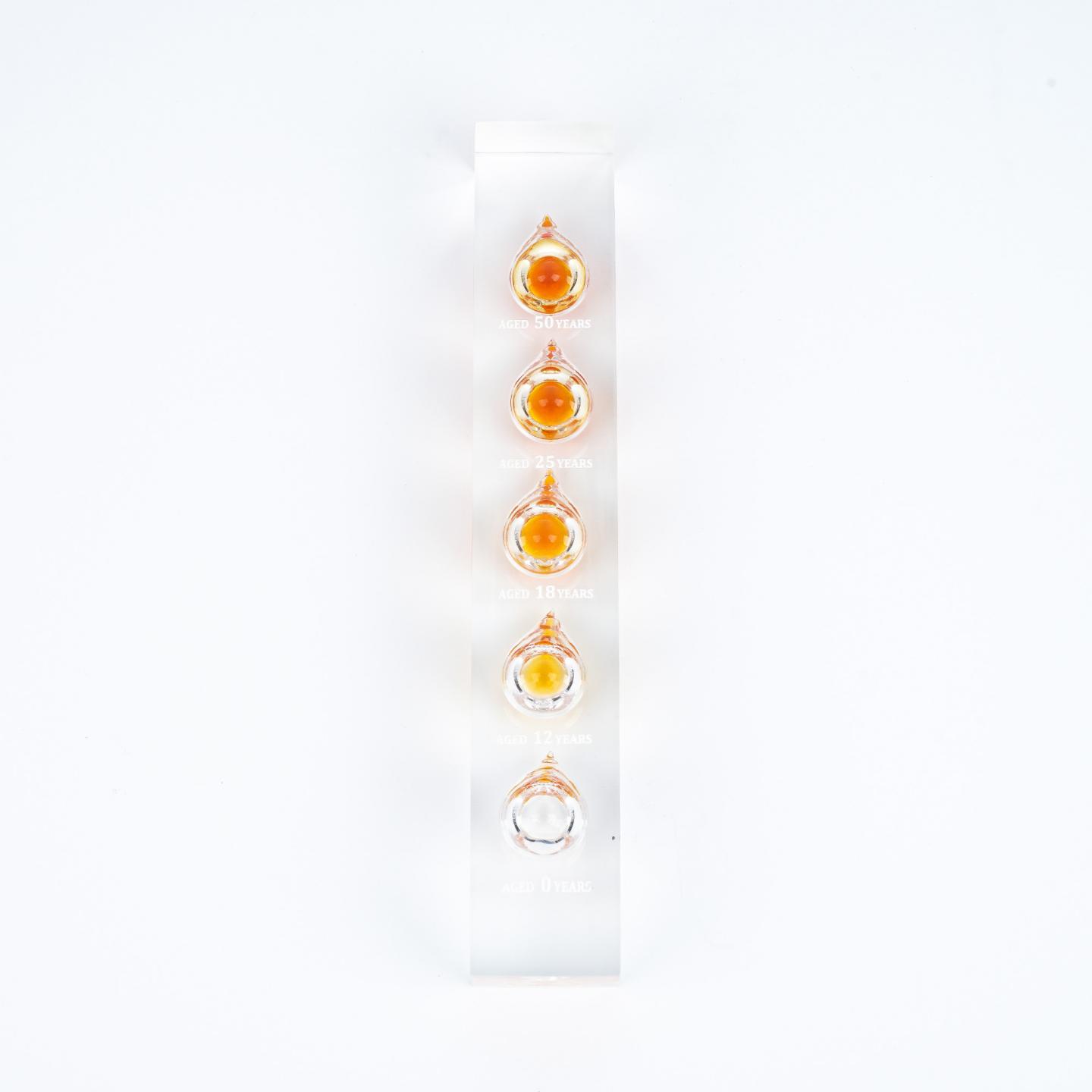 山崎 含50 25 18 12 0年酒液 威士忌展示摆件