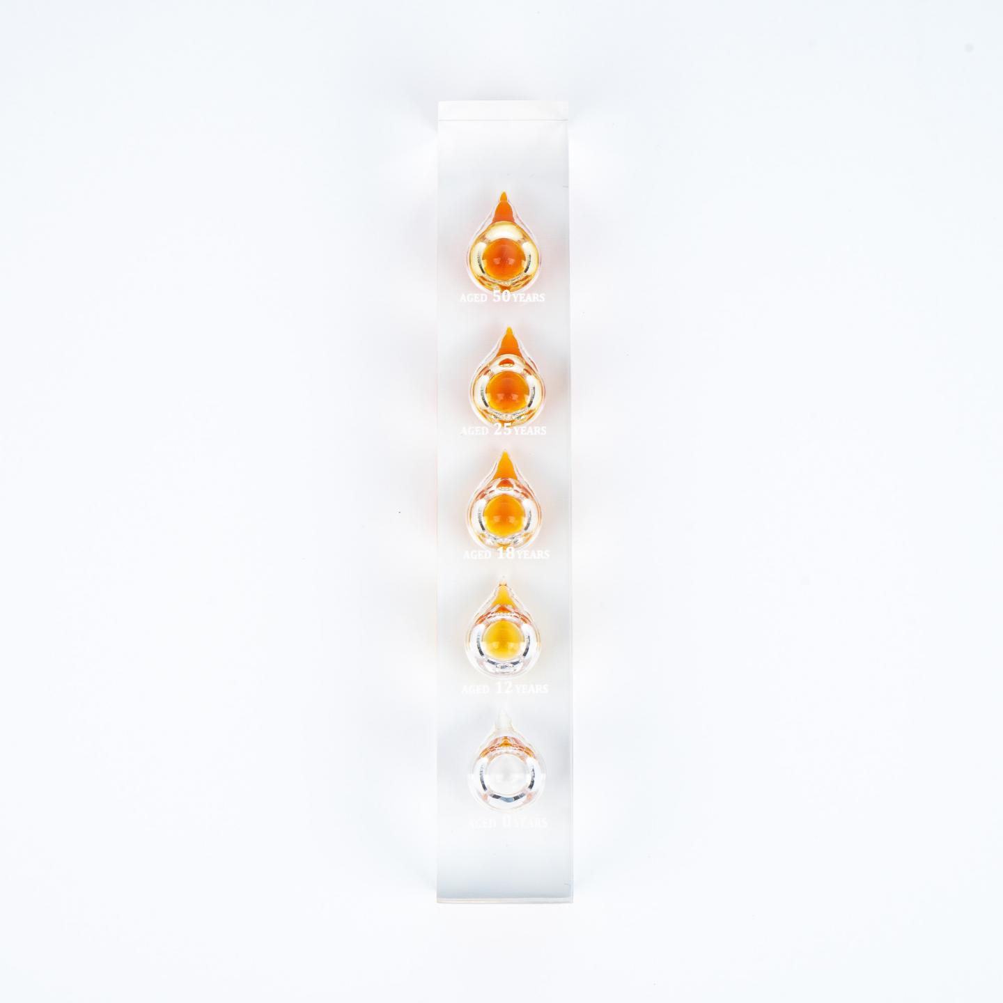 山崎 含50 25 18 12 0年酒液 威士忌展示摆件