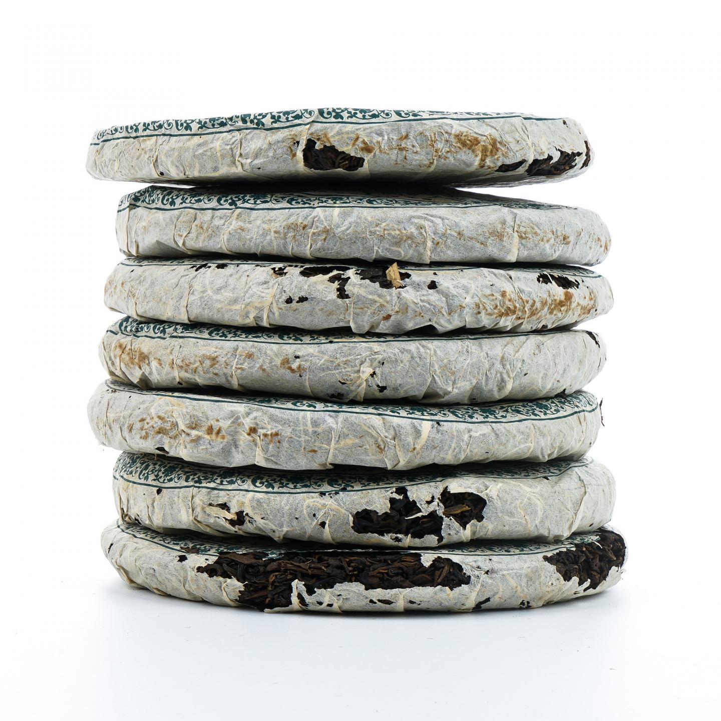 2005年 永年绿九九