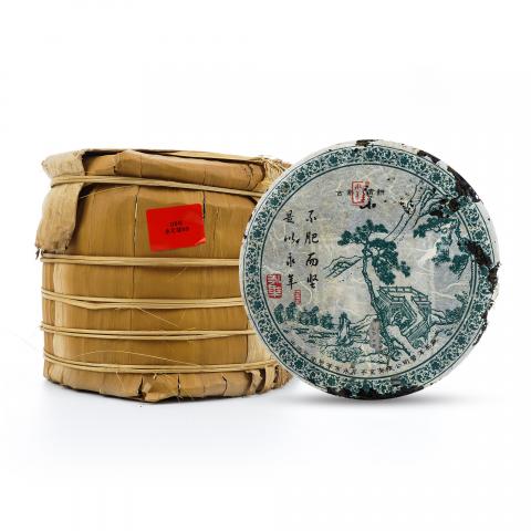 2005年 永年绿九九