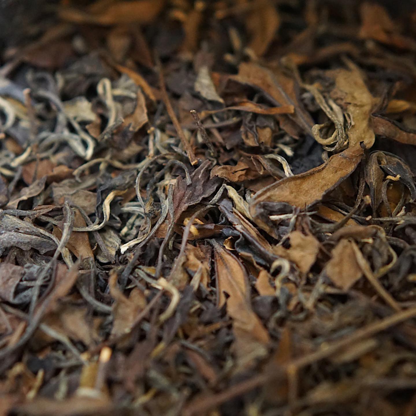 1997年 高建发寿眉茶（分装） 约500克 干仓