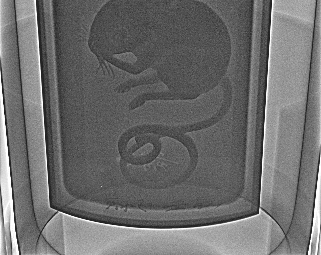 【附X光图】贵州茅台·黄永玉十二生肖纪念酒 生肖鼠 金版套装