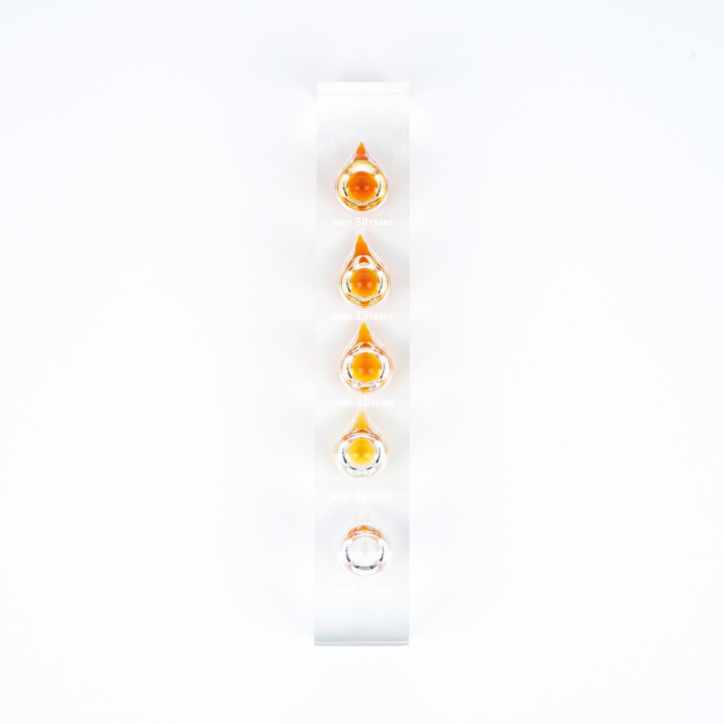 山崎 威士忌展示摆件 含50 25 18 12 0年酒液