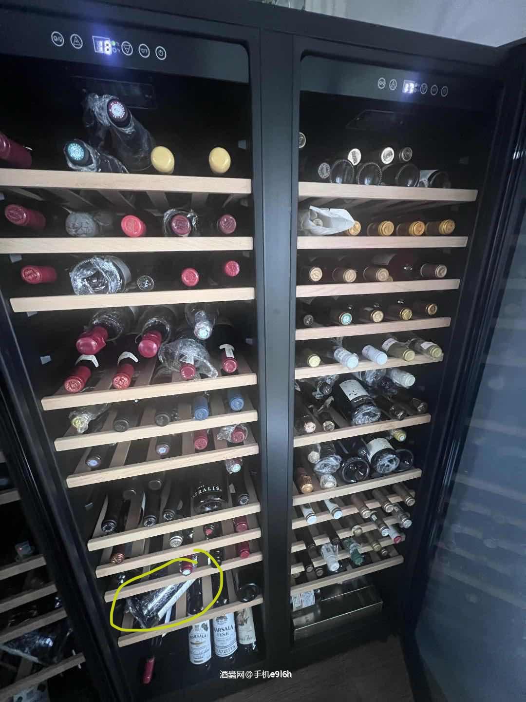 澳洲双掌2005单一园“嬉皮园”3LRP99分