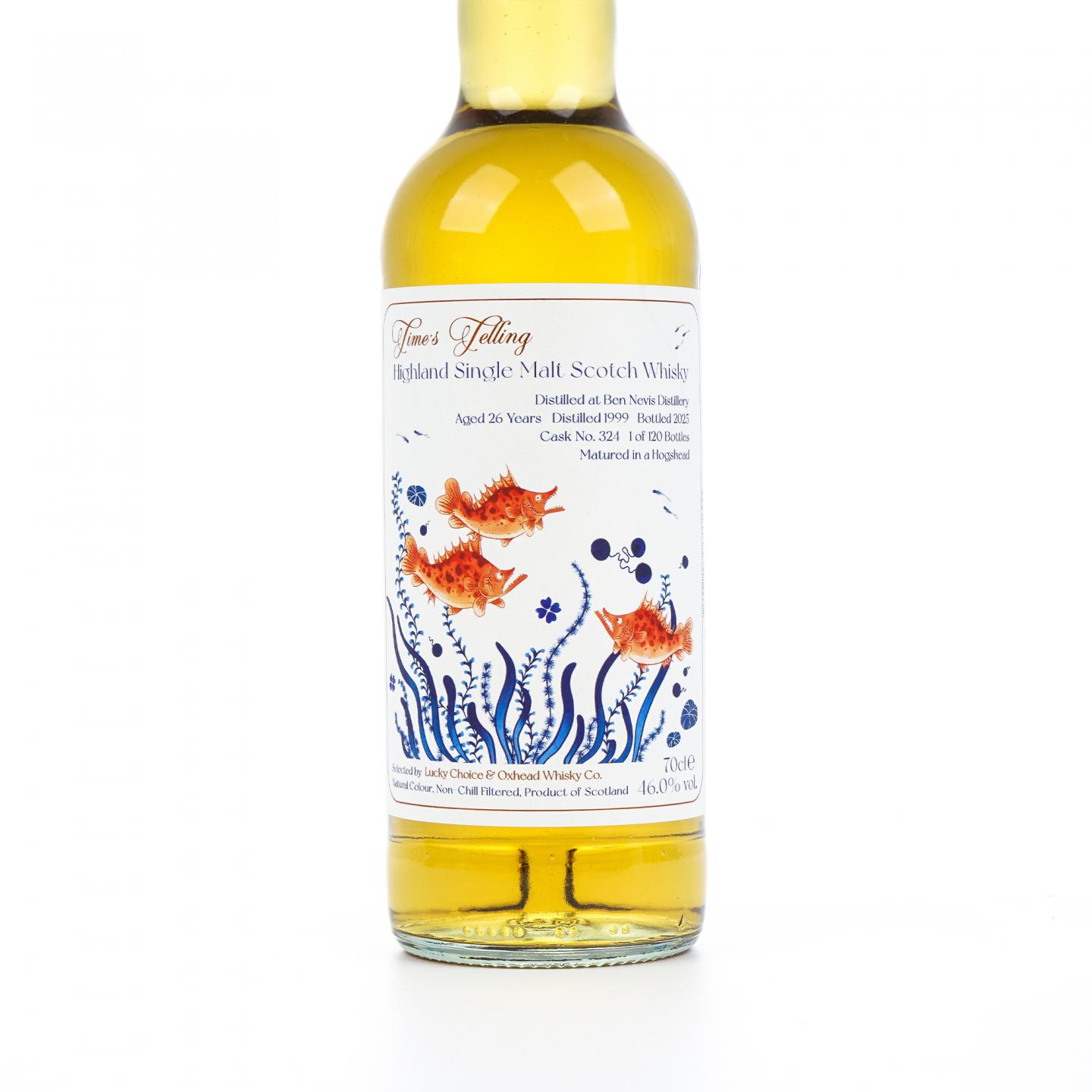 Ben Nevis 本尼维斯 26年 1999-2025