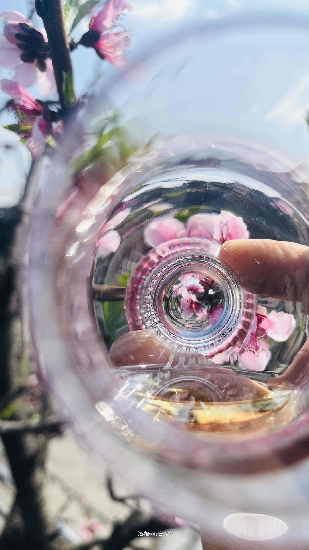 桃影摇杯 琥珀映红