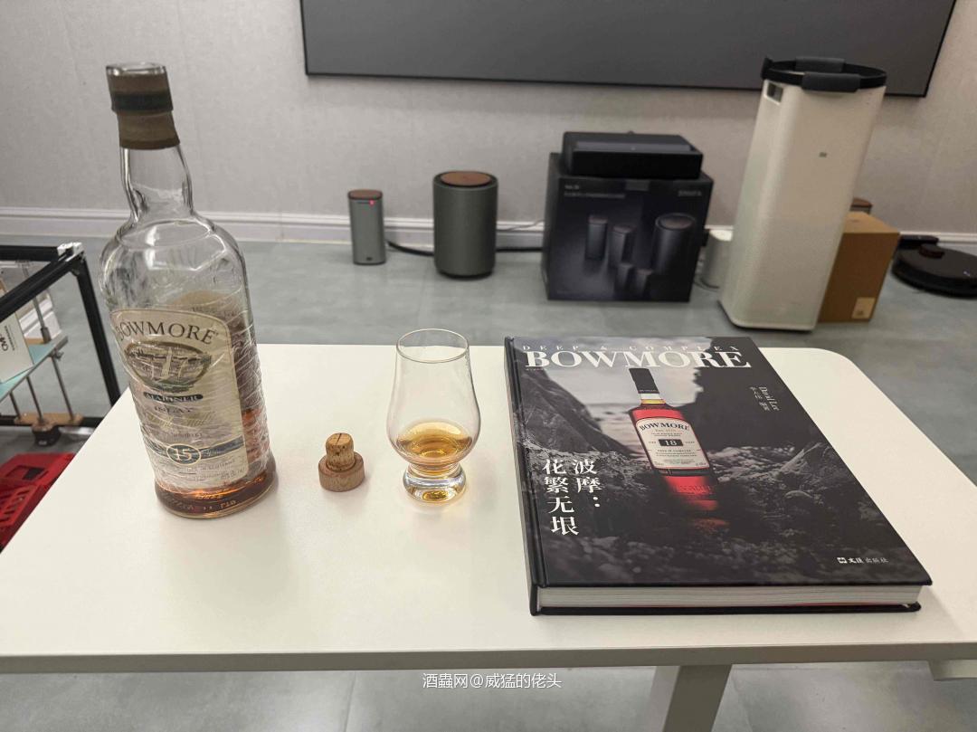 地下室里的海鸥回响：怀念过去|致敬往昔