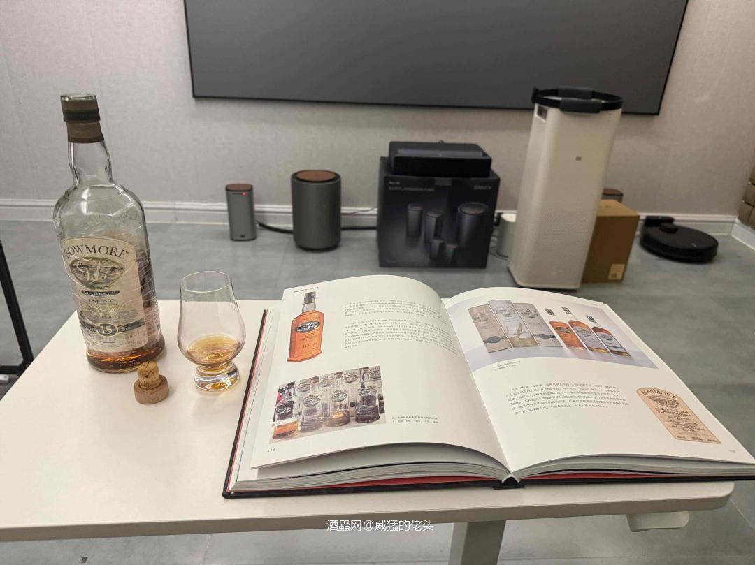 地下室里的海鸥回响：怀念过去|致敬往昔