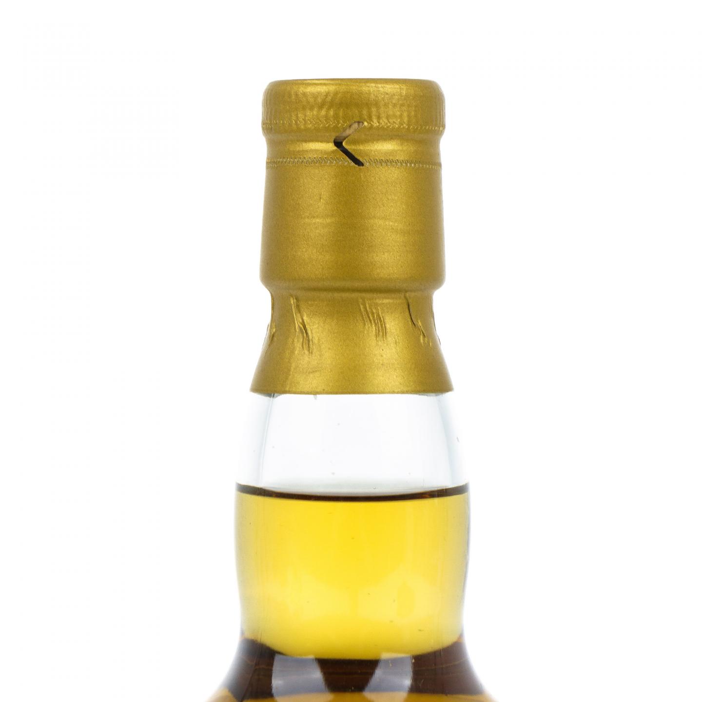 Kittenish 25年 1996-2021 TWBl