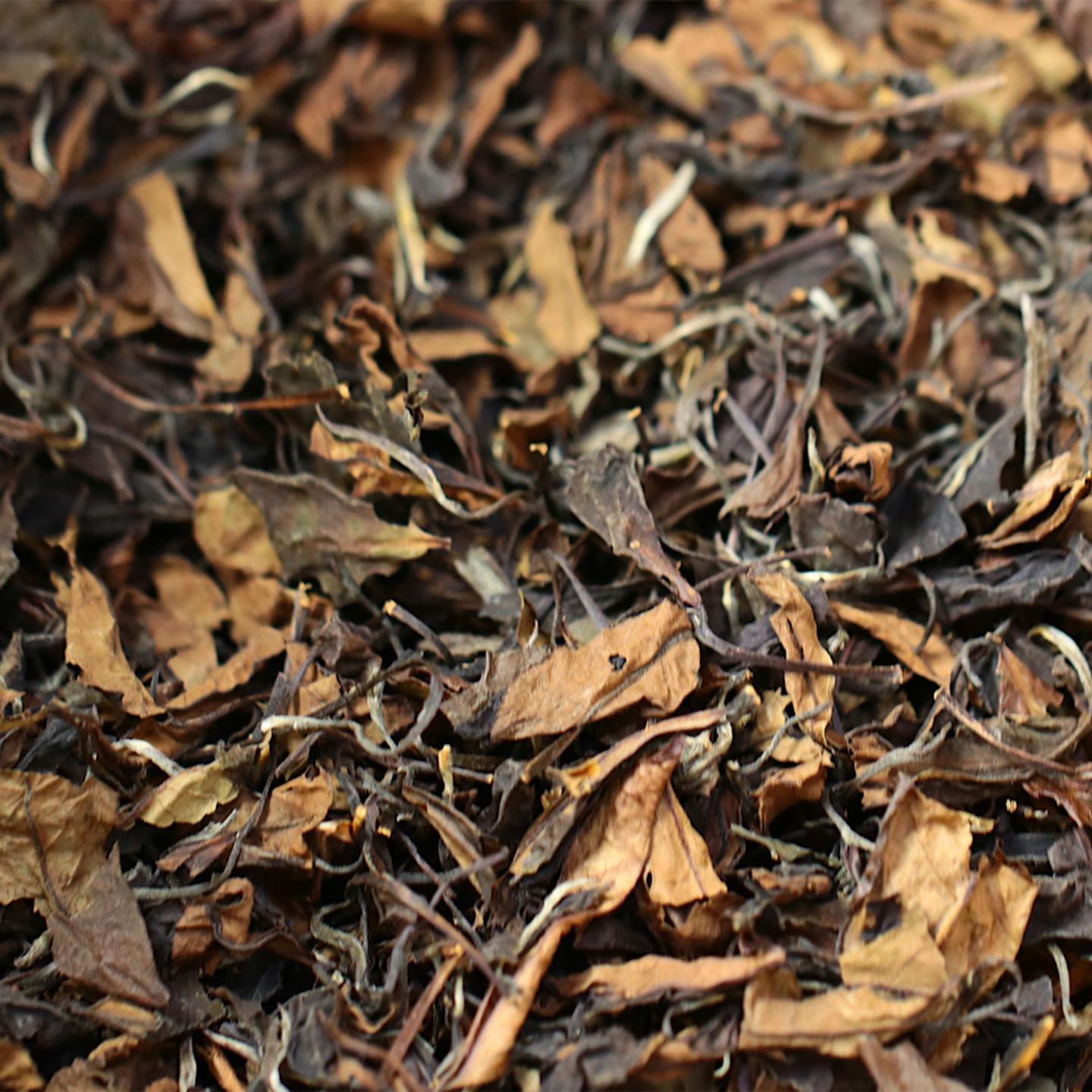 2000年 出口北美白茶 一级寿眉一箱 约24斤 干仓